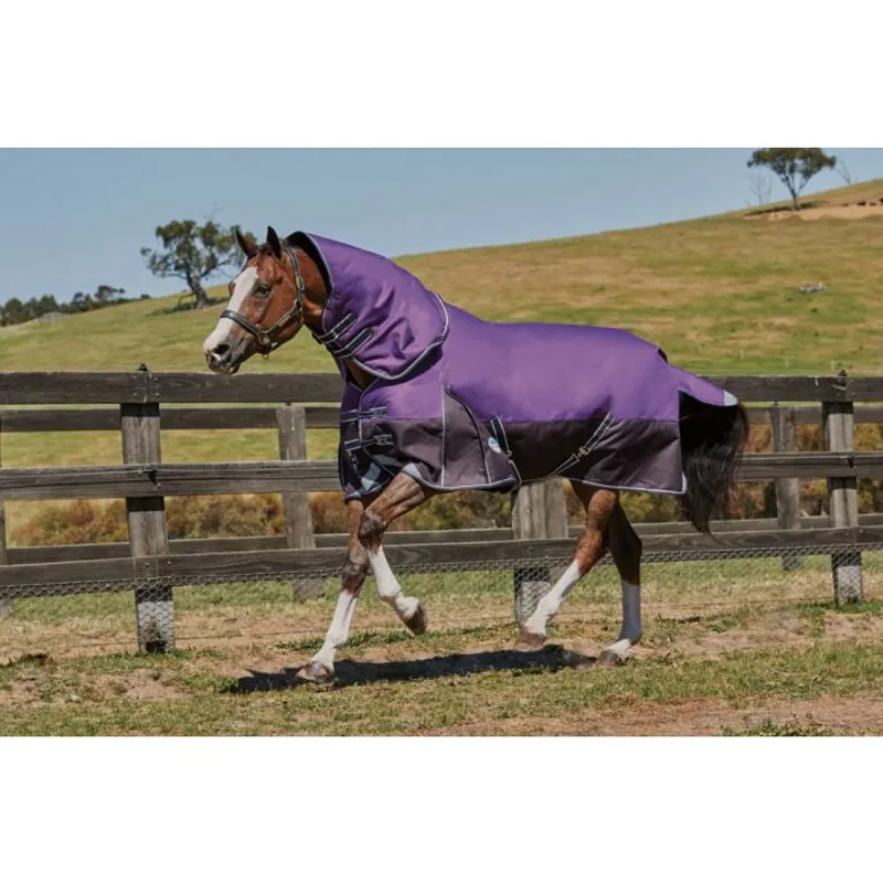 Weatherbeeta Comfitec Dynamic Combo 100g Rug in Purple-1